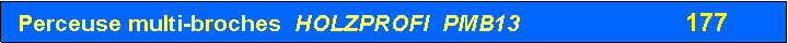 Zone de Texte:  Perceuse multi-broches  HOLZPROFI  PMB13               	      177  	