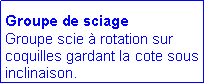 Zone de Texte: Groupe de sciage
Groupe scie à rotation sur coquilles gardant la cote sous inclinaison.